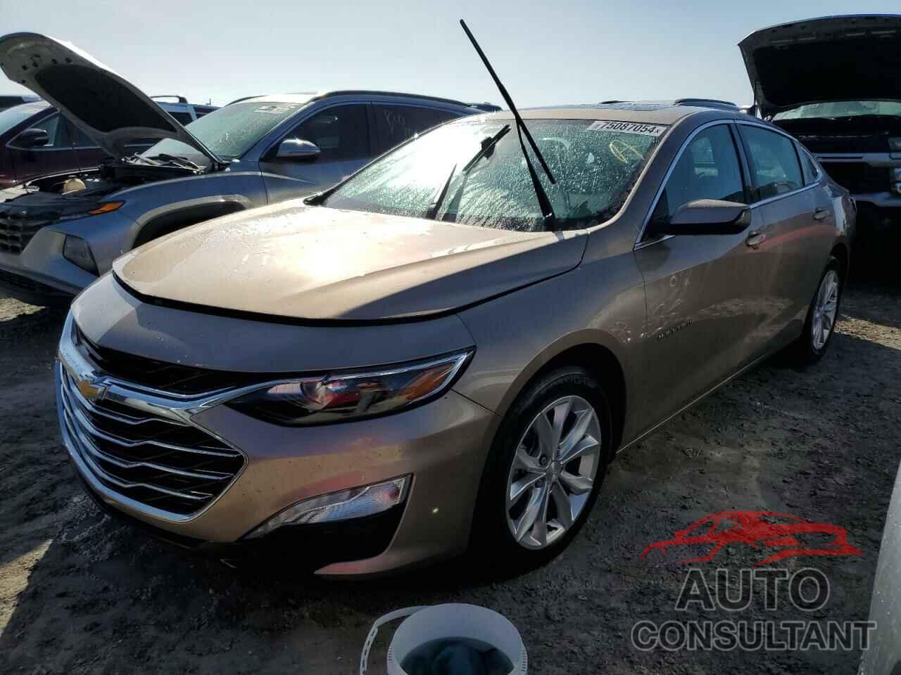 CHEVROLET MALIBU 2019 - 1G1ZD5ST9KF121165