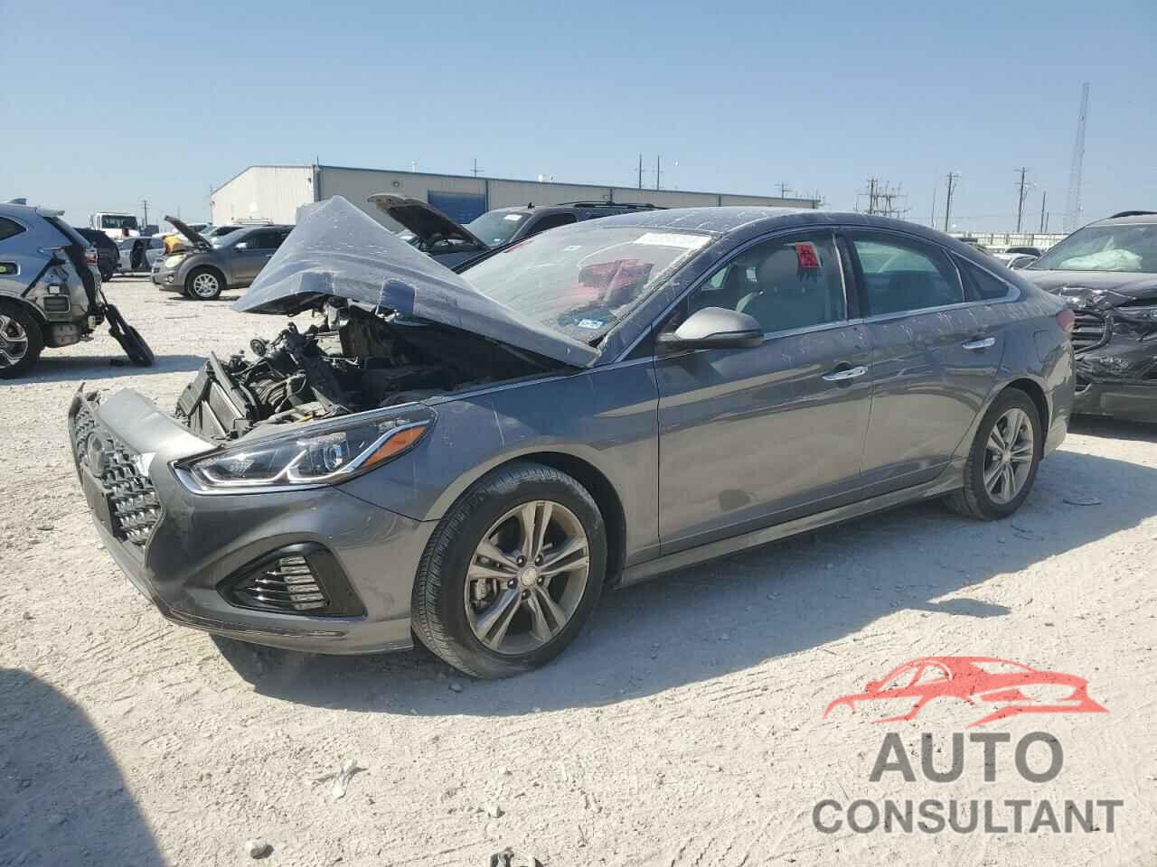 HYUNDAI SONATA 2019 - 5NPE34AF7KH742800