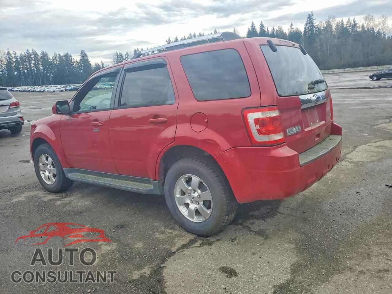 FORD ESCAPE 2011 - 1FMCU9EG0BKC18633