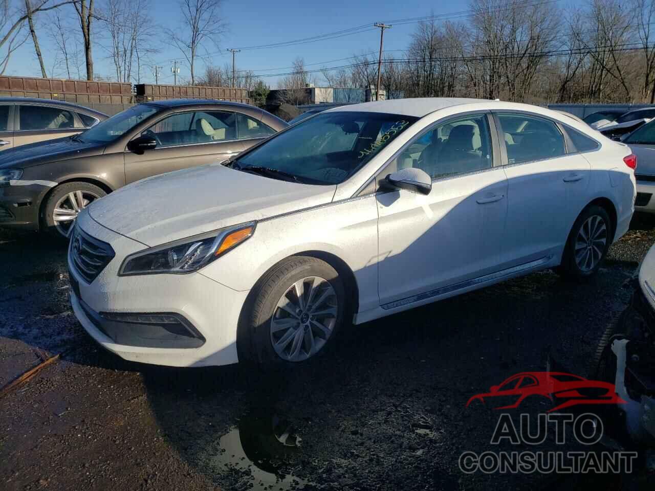 HYUNDAI SONATA 2016 - 5NPE34AF7GH262571