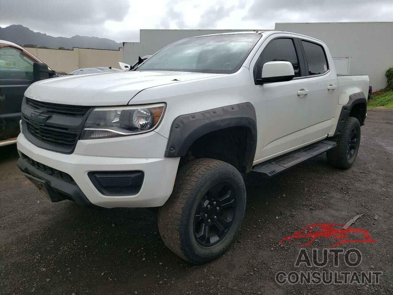 CHEVROLET COLORADO 2019 - 1GCGTCEN9K1117309