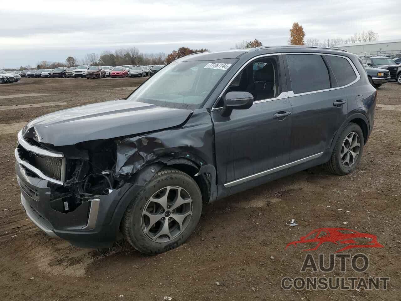 KIA TELLURIDE 2020 - 5XYP3DHC8LG062496