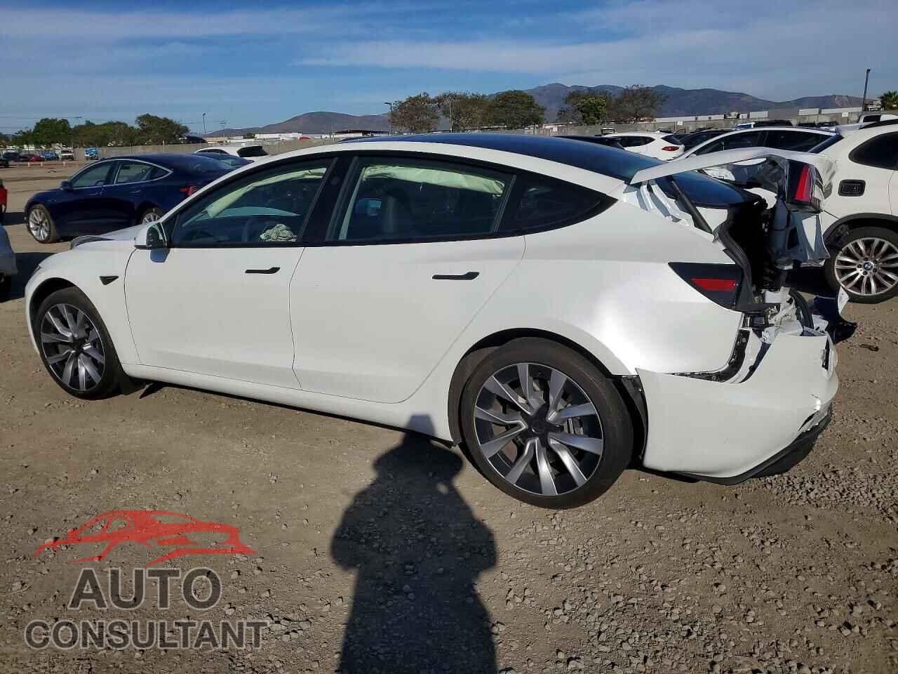 TESLA MODEL 3 2024 - 5YJ3E1EA7RF830639