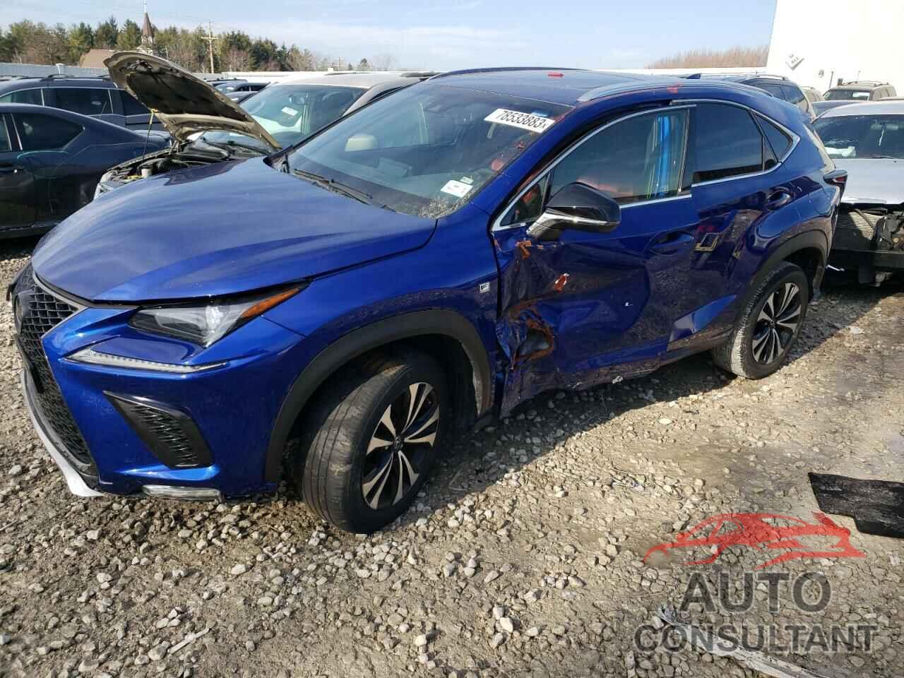 LEXUS NX 2019 - JTJYARBZ5K2131428