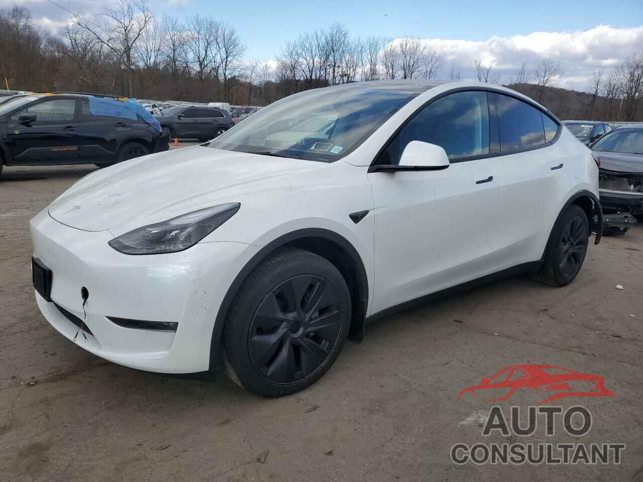 TESLA MODEL Y 2024 - 7SAYGDEE8RF133410