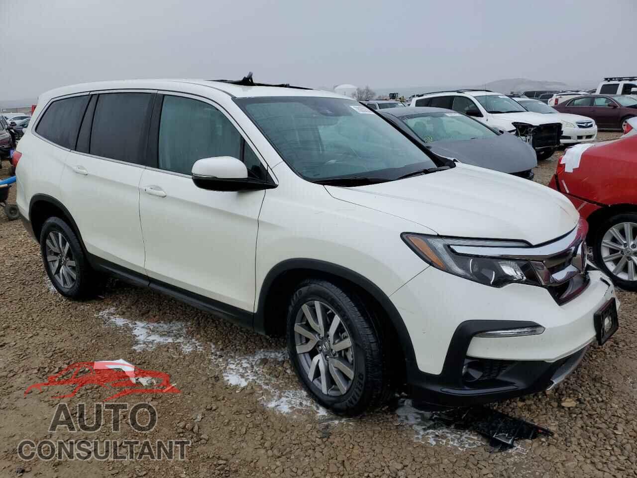 HONDA PILOT 2019 - 5FNYF6H53KB066292
