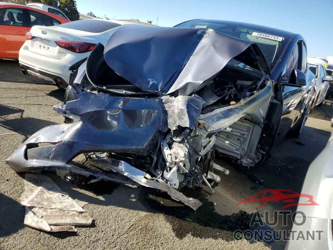 TESLA MODEL Y 2023 - 7SAYGAEE1PF924227
