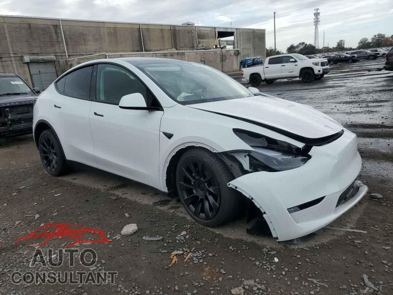 TESLA MODEL Y 2024 - 7SAYGAEE9RF207271