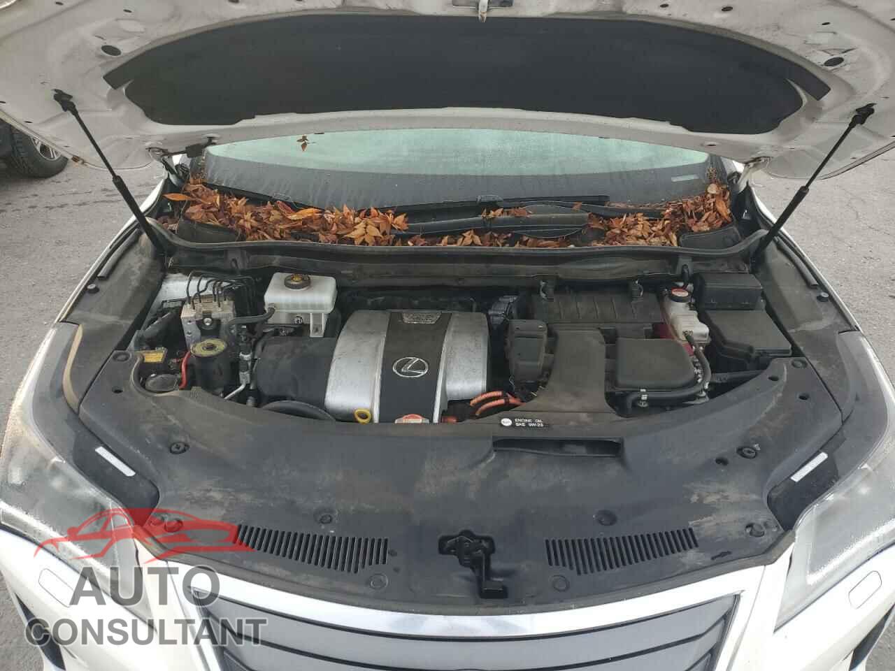 LEXUS RX450 2016 - 2T2BGMCA5GC001561