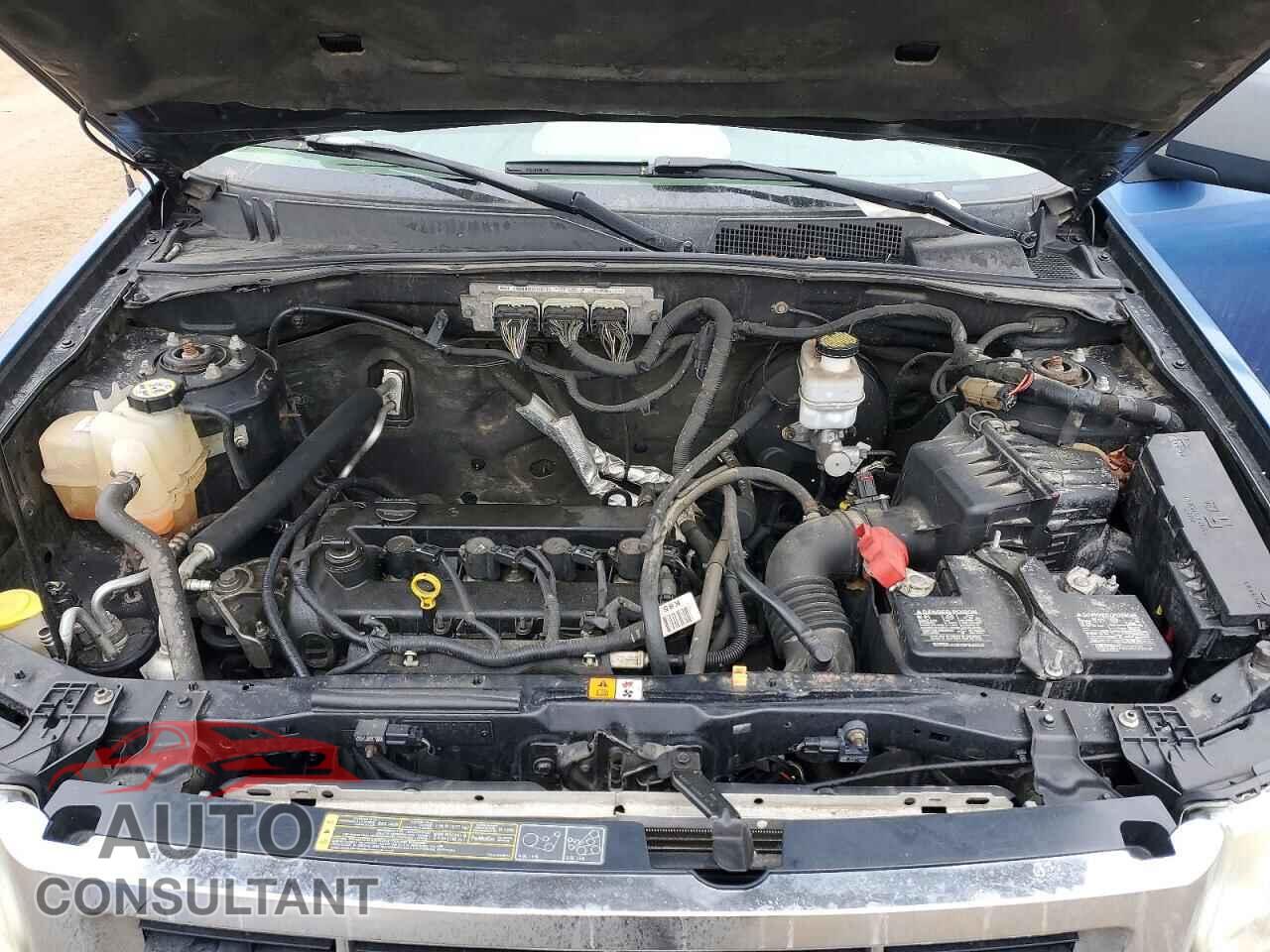 FORD ESCAPE 2010 - 1FMCU0D74AKA33108