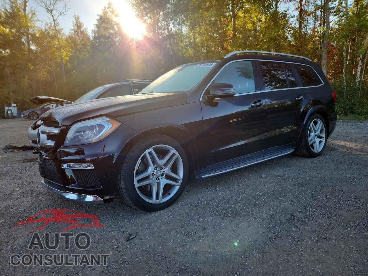 MERCEDES-BENZ GL-CLASS 2014 - 4JGDF2EE7EA275555