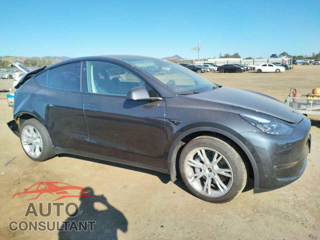 TESLA MODEL Y 2024 - 7SAYGDEE2RF006054