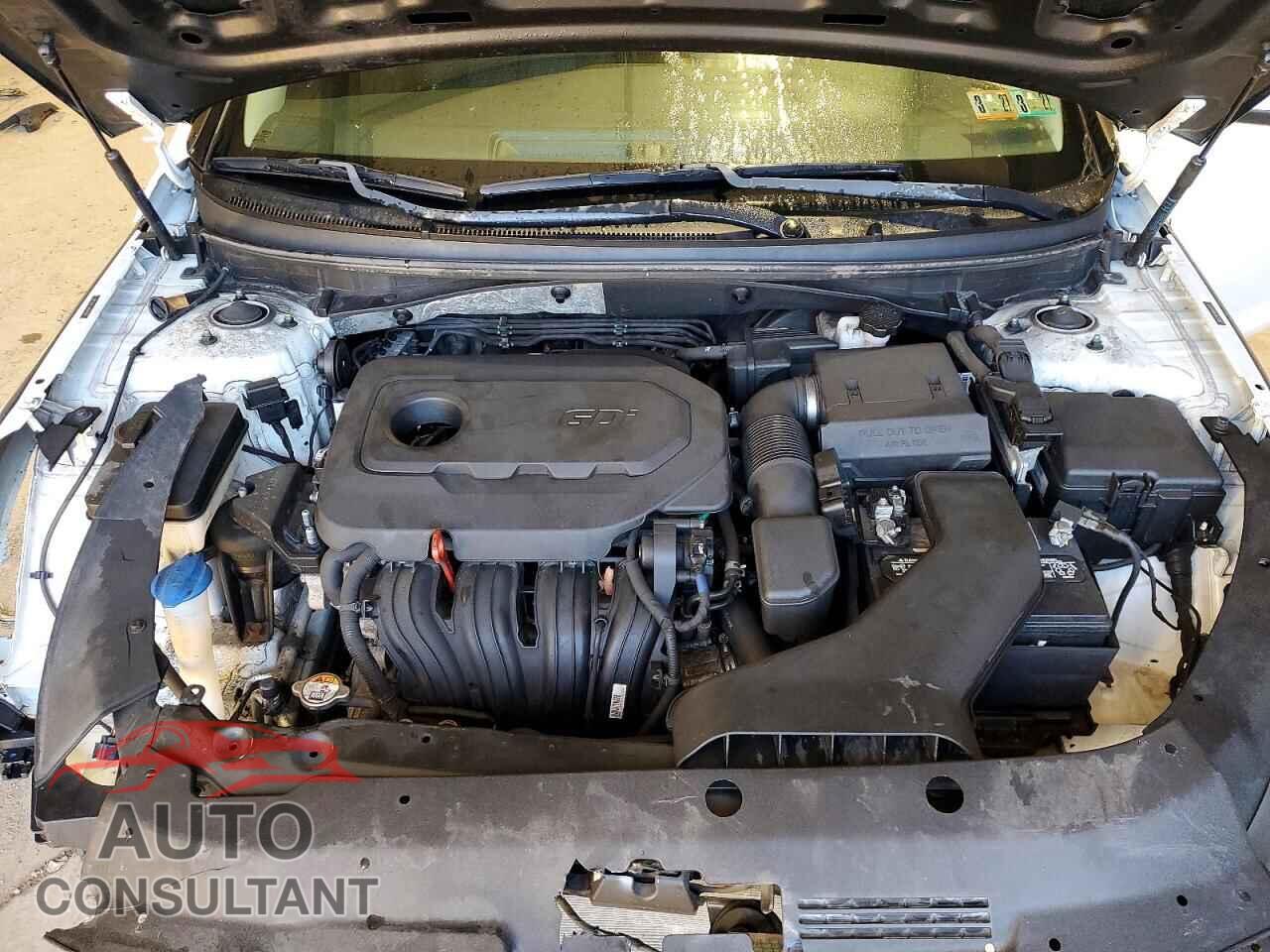 HYUNDAI SONATA 2018 - 5NPE24AF9JH647429