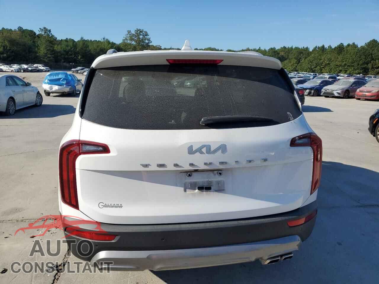 KIA TELLURIDE 2022 - 5XYP64HC8NG281663