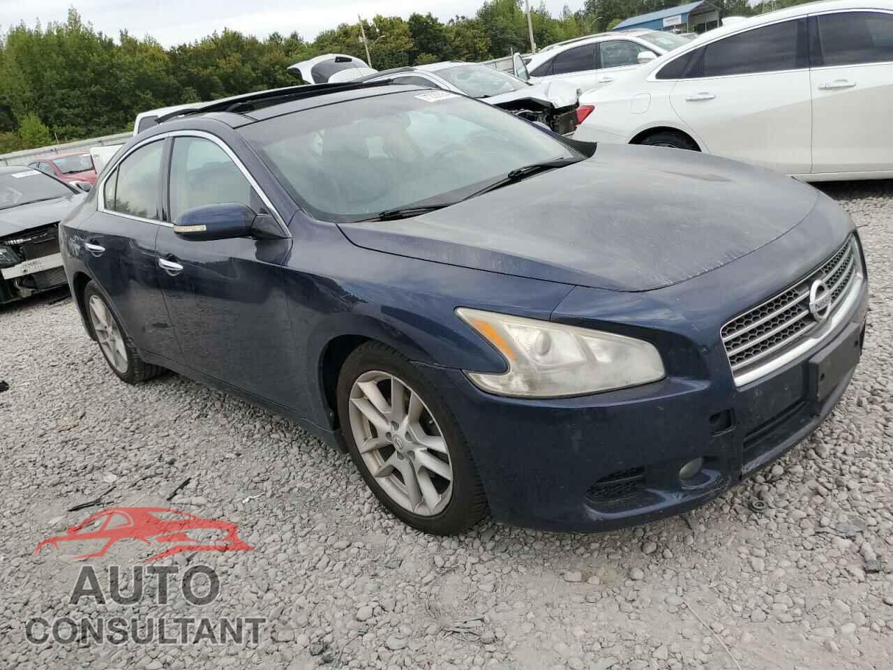 NISSAN MAXIMA 2010 - 1N4AA5AP7AC856475