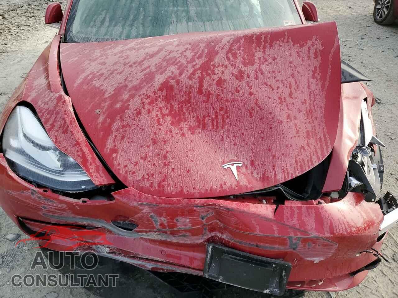 TESLA MODEL 3 2019 - 5YJ3E1EA9KF396570