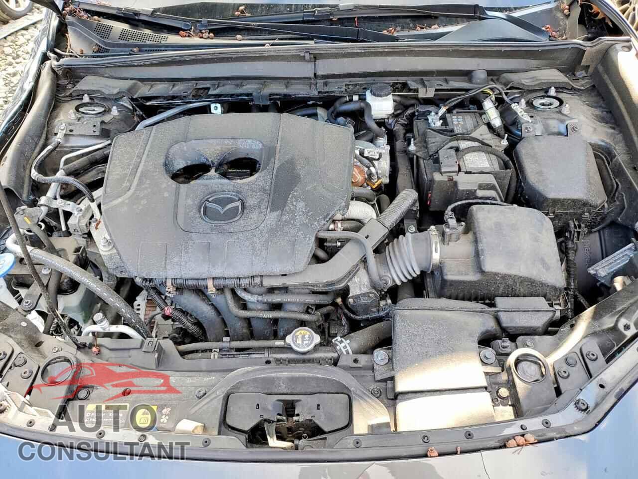 MAZDA CX30 2024 - 3MVDMBBM3RM679062