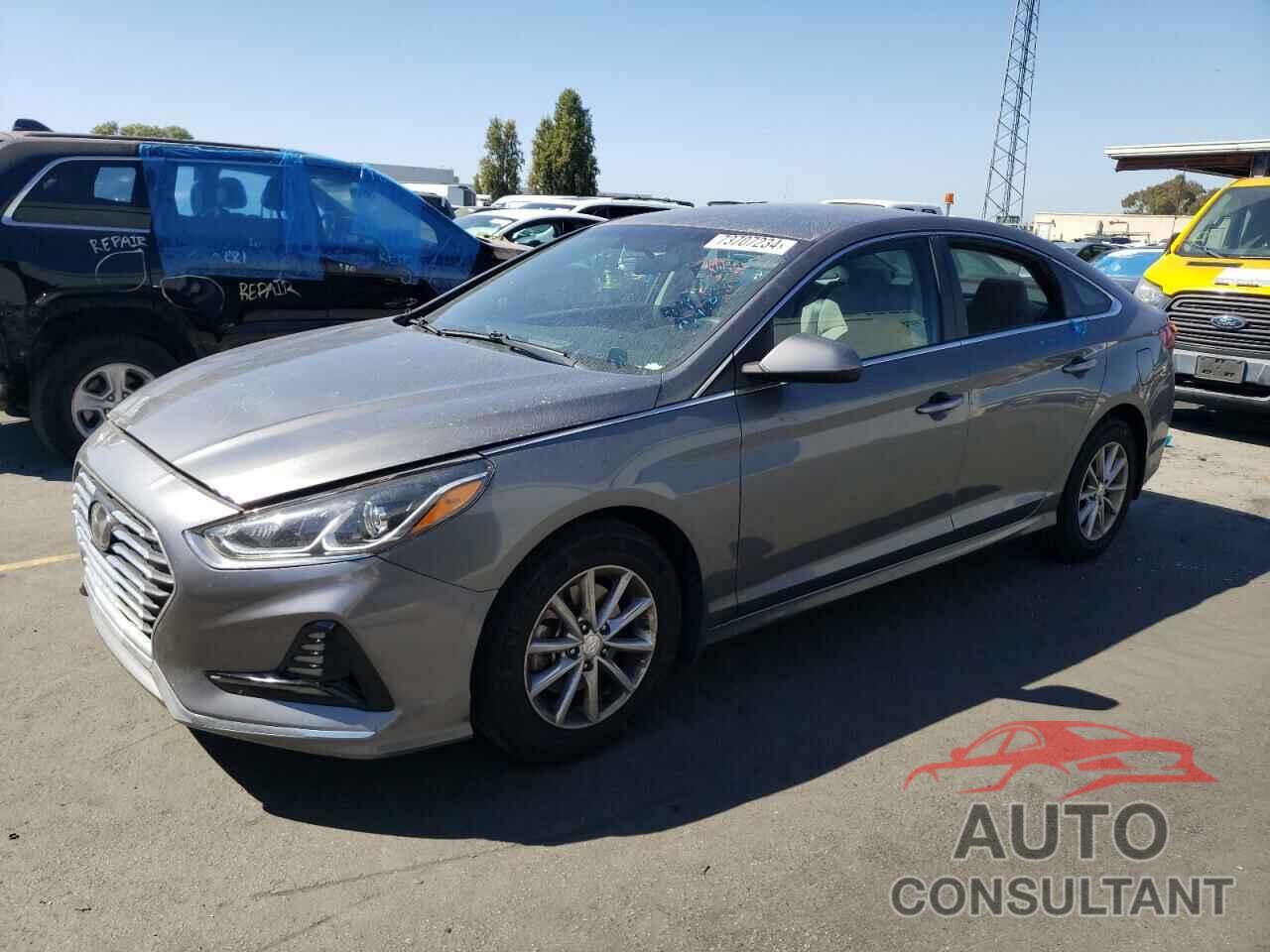 HYUNDAI SONATA 2019 - 5NPE24AF7KH798979