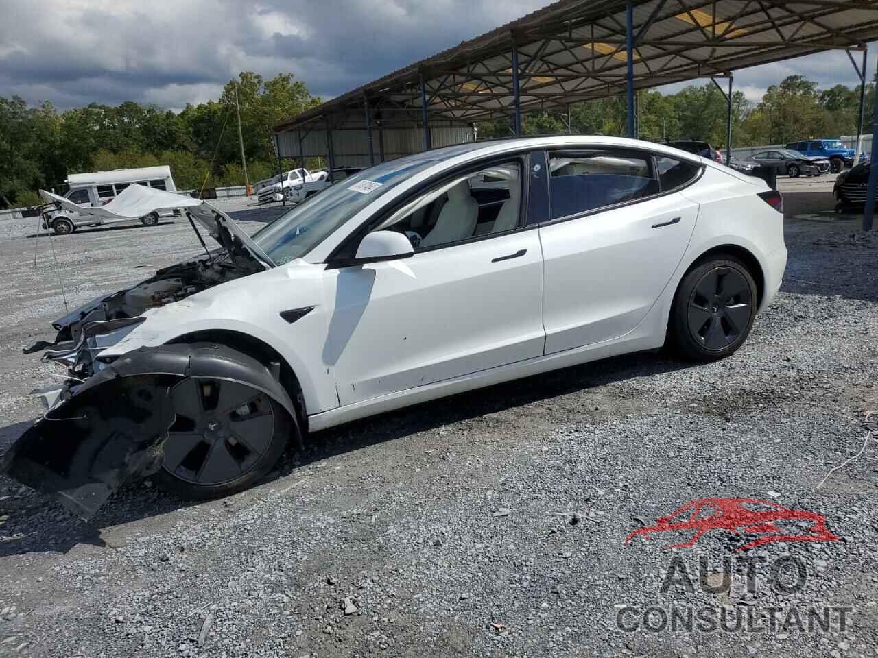 TESLA MODEL 3 2021 - 5YJ3E1EA4MF938838