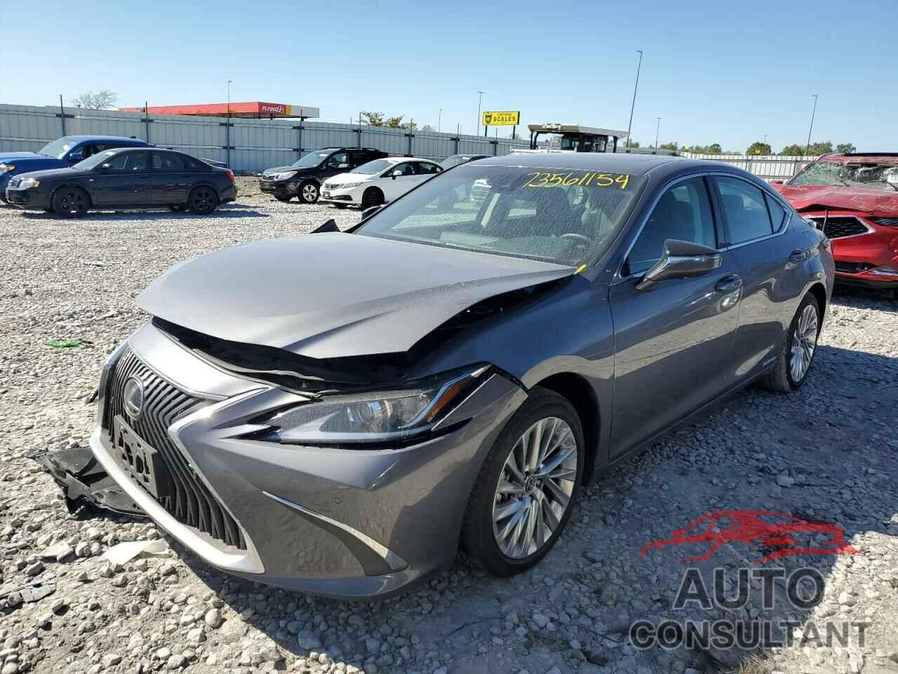 LEXUS ES300 2021 - 58AEA1C11MU008141