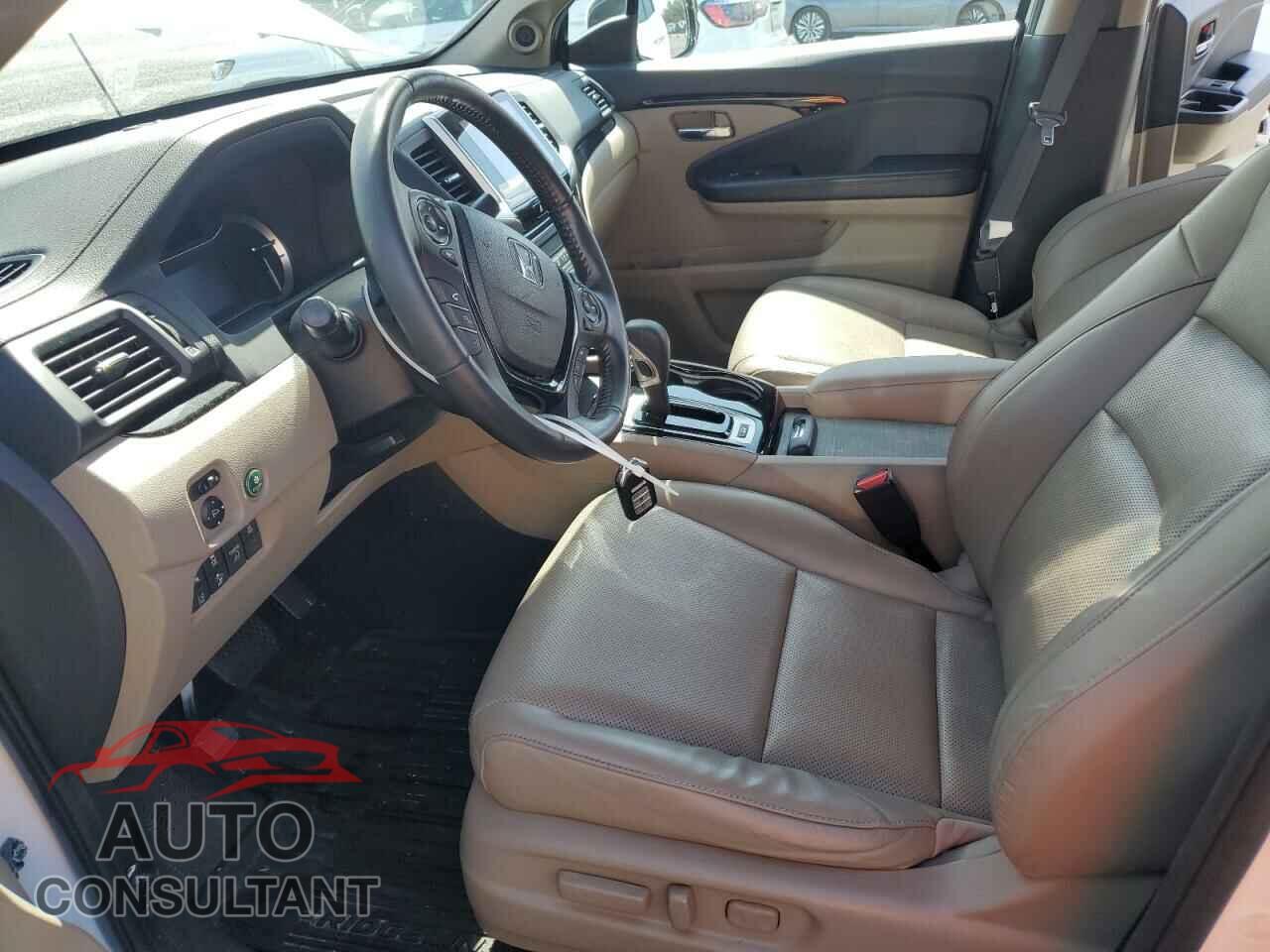 HONDA RIDGELINE 2019 - 5FPYK3F70KB032140