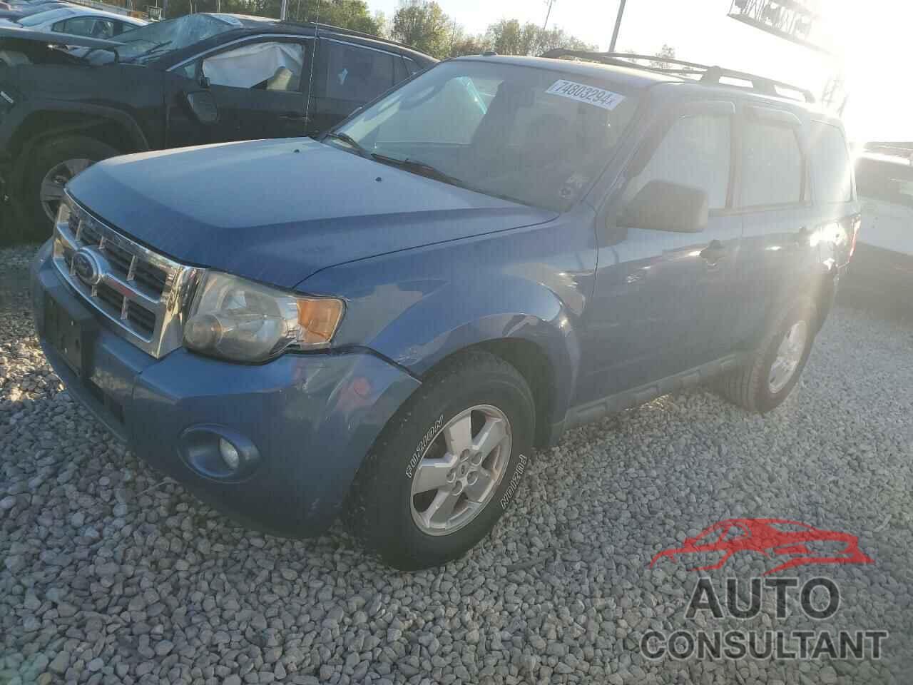 FORD ESCAPE 2010 - 1FMCU9DG1AKB81494