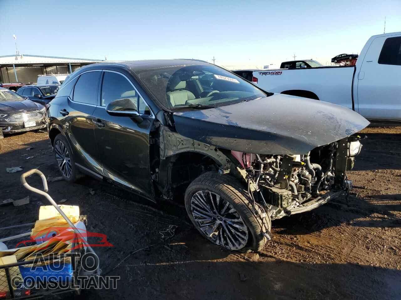 LEXUS RX350 2023 - 2T2BAMCA8PC018212