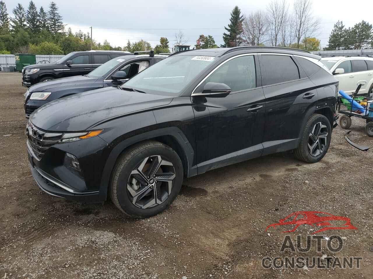 HYUNDAI TUCSON 2022 - KM8JCCA13NU044252