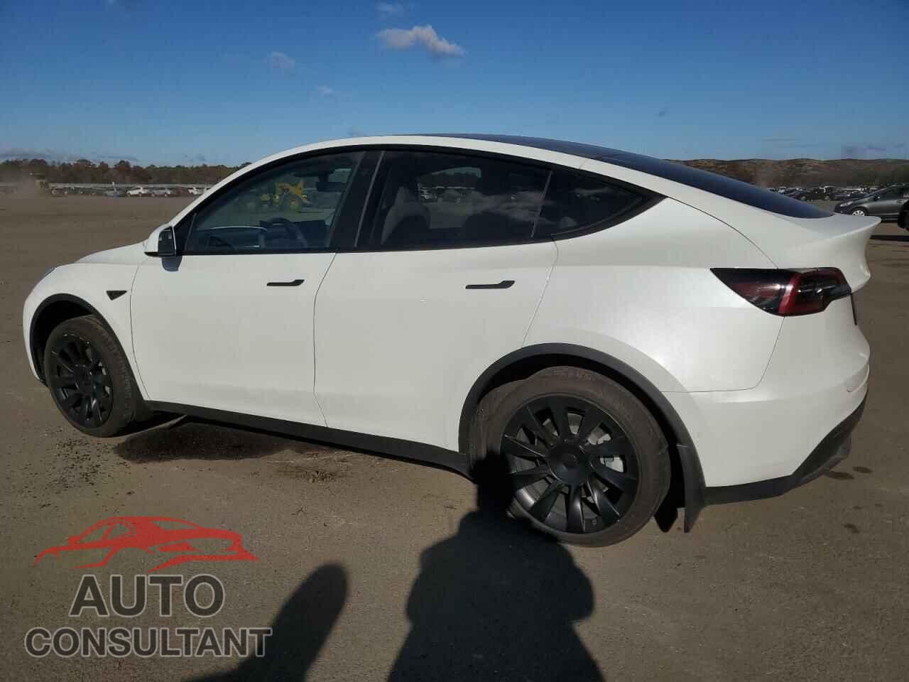 TESLA MODEL Y 2022 - 7SAYGDEE2NF511781