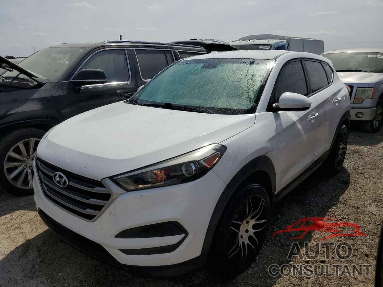 HYUNDAI TUCSON 2017 - KM8J23A45HU563708