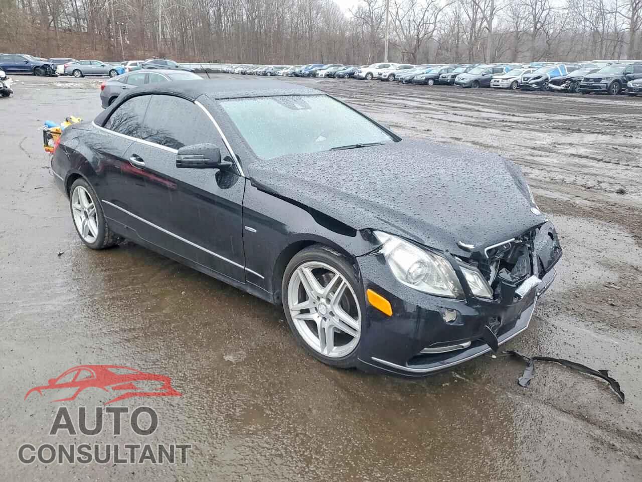 MERCEDES-BENZ E-CLASS 2012 - WDDKK5KF2CF135196