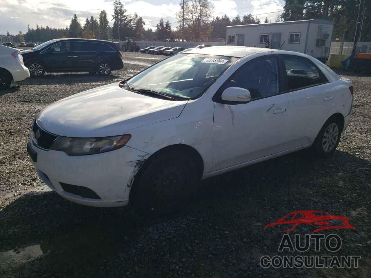 KIA FORTE 2010 - KNAFU4A28A5166676