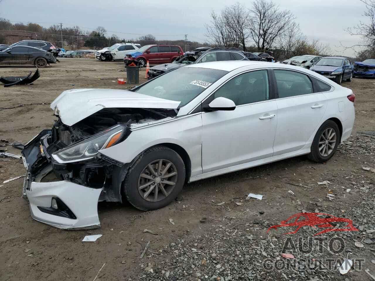 HYUNDAI SONATA 2019 - 5NPE24AF5KH766323