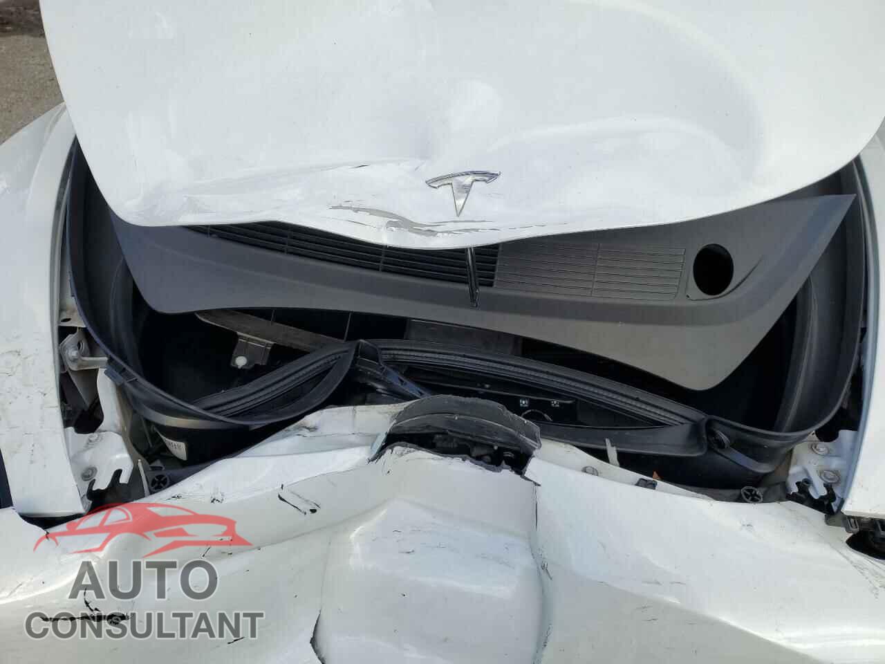 TESLA MODEL 3 2019 - 5YJ3E1EA0KF426376