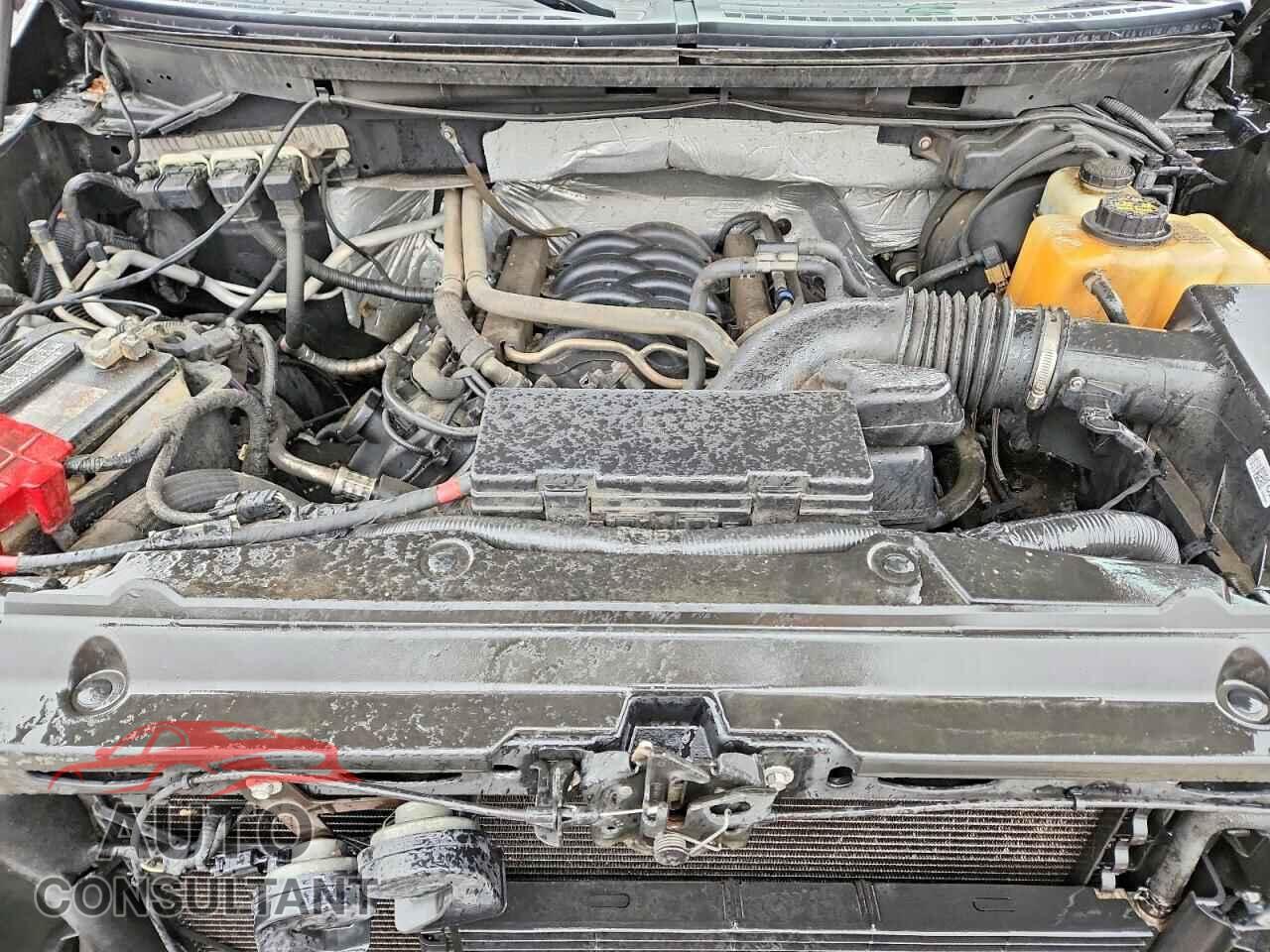 FORD F150 2013 - 1FTFW1EF9DFD65954