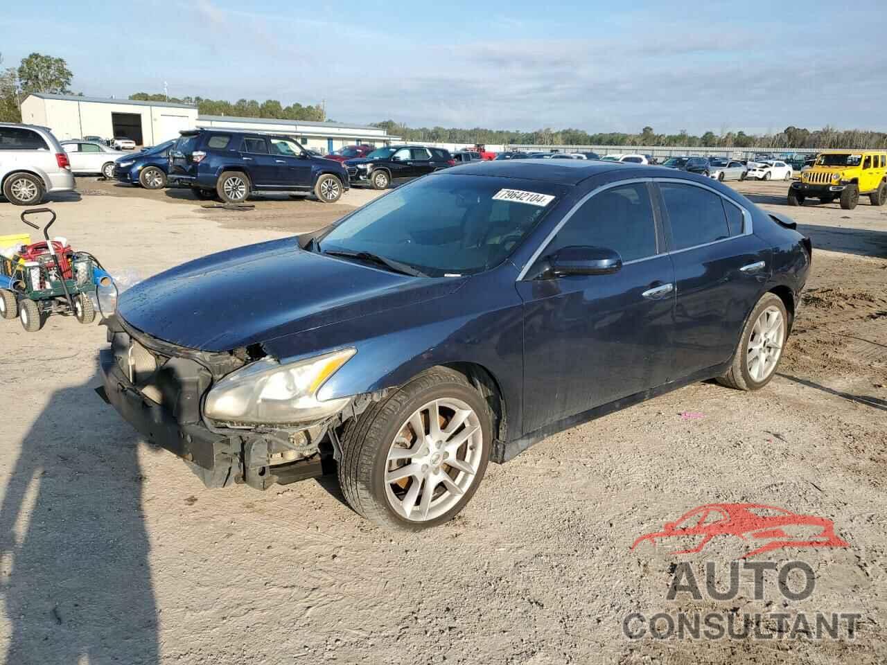 NISSAN MAXIMA 2010 - 1N4AA5AP2AC863902