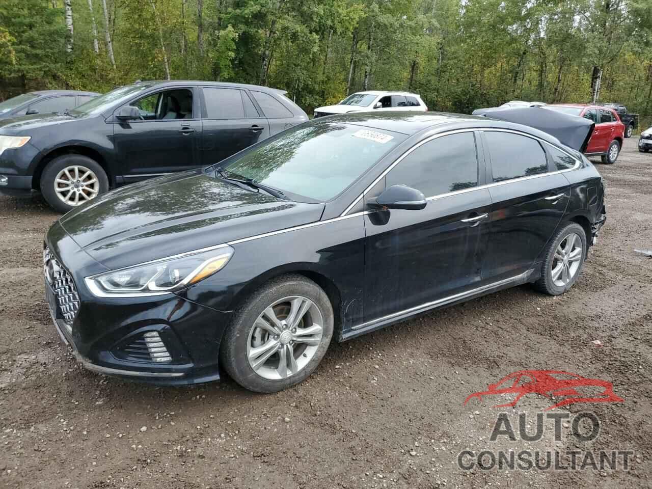 HYUNDAI SONATA 2019 - 5NPE34AF9KH775474