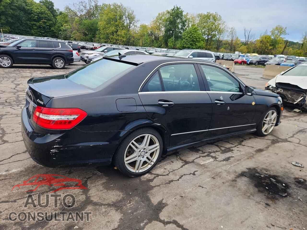 MERCEDES-BENZ E-CLASS 2010 - WDDHF8HB9AA259271
