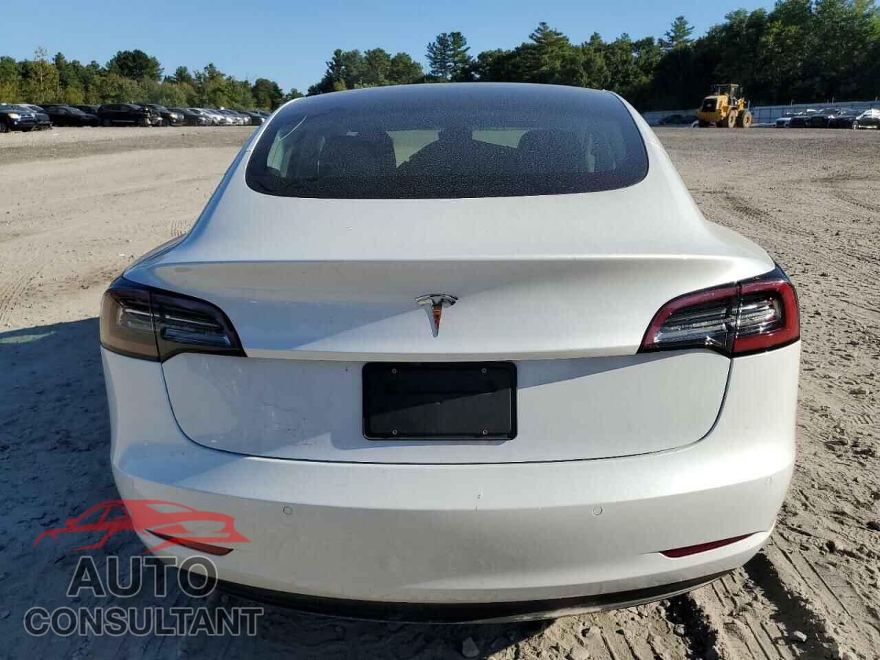 TESLA MODEL 3 2020 - 5YJ3E1EA4LF737021