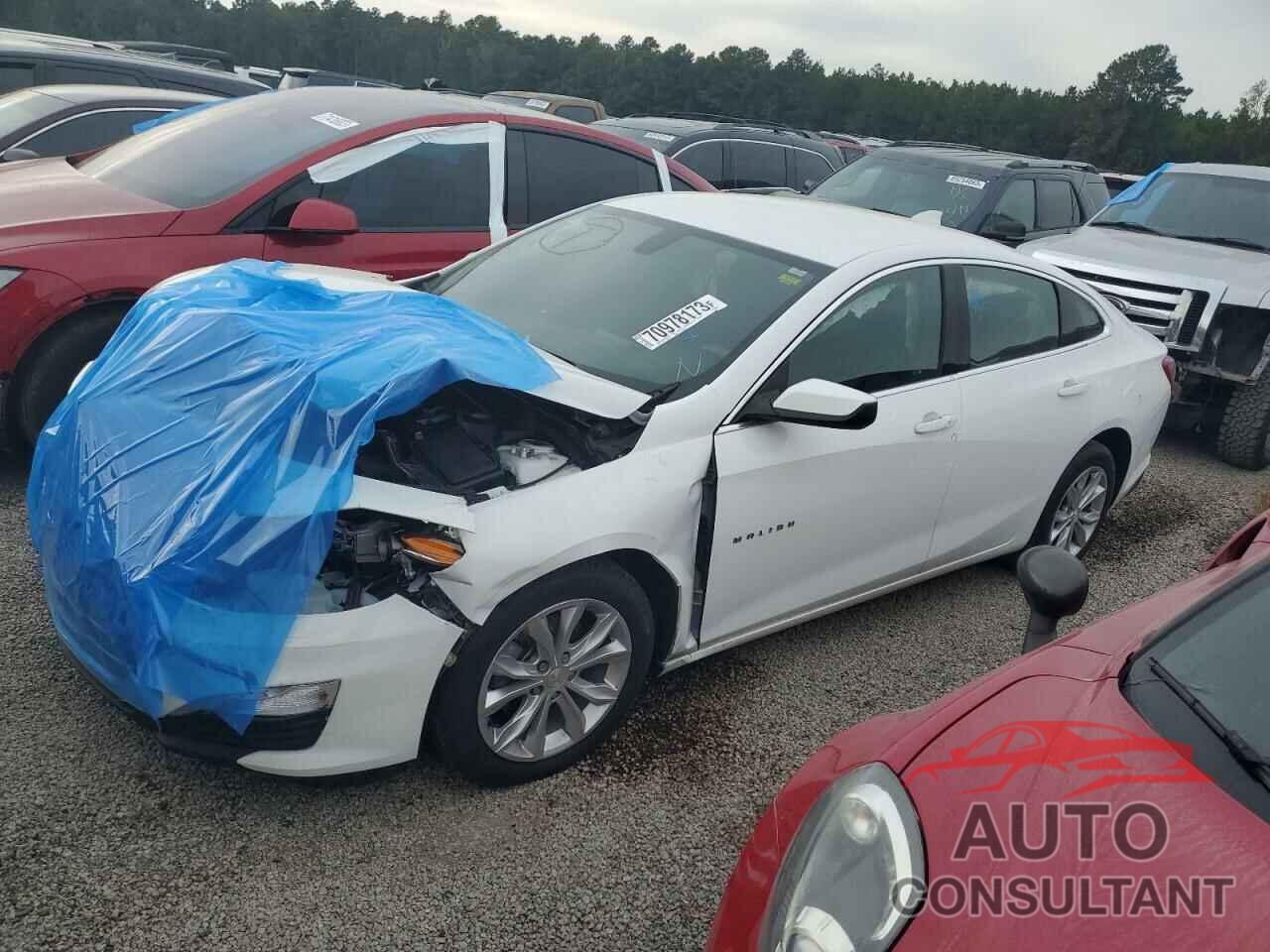 CHEVROLET MALIBU 2020 - 1G1ZD5ST7LF091438