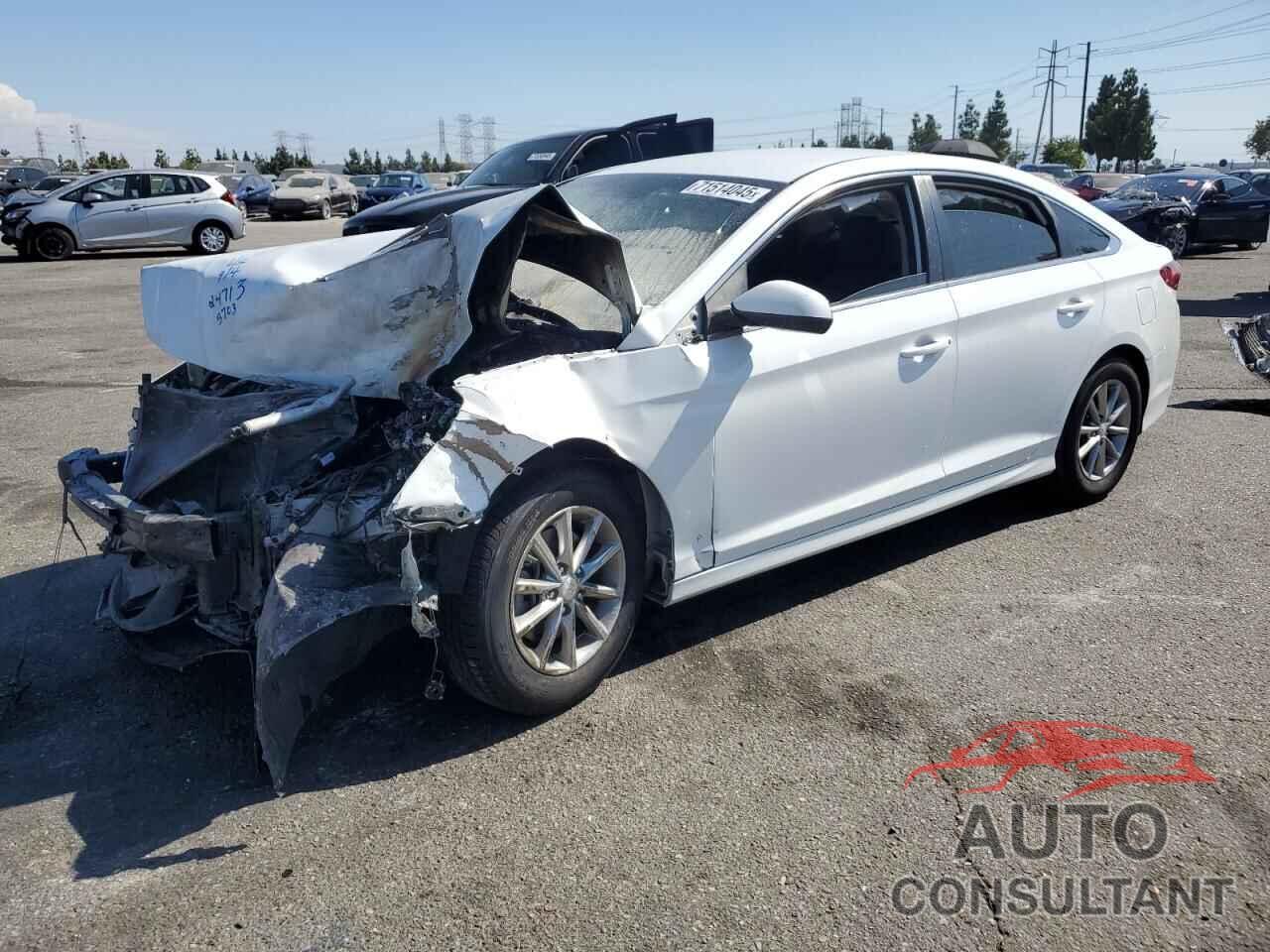 HYUNDAI SONATA 2019 - 5NPE24AFXKH765703
