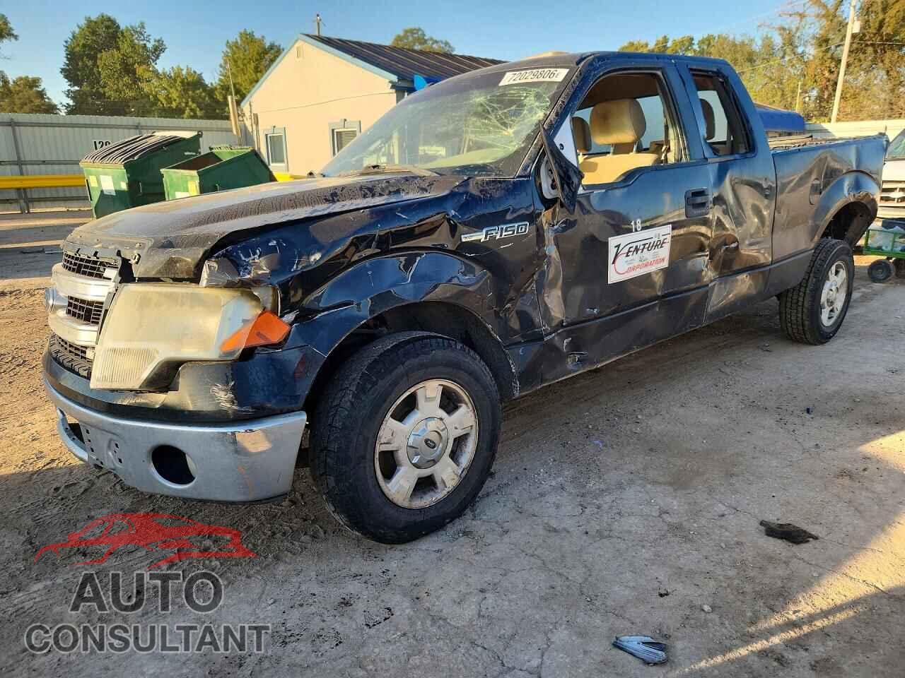 FORD F150 2013 - 1FTFX1CF1DKD95599