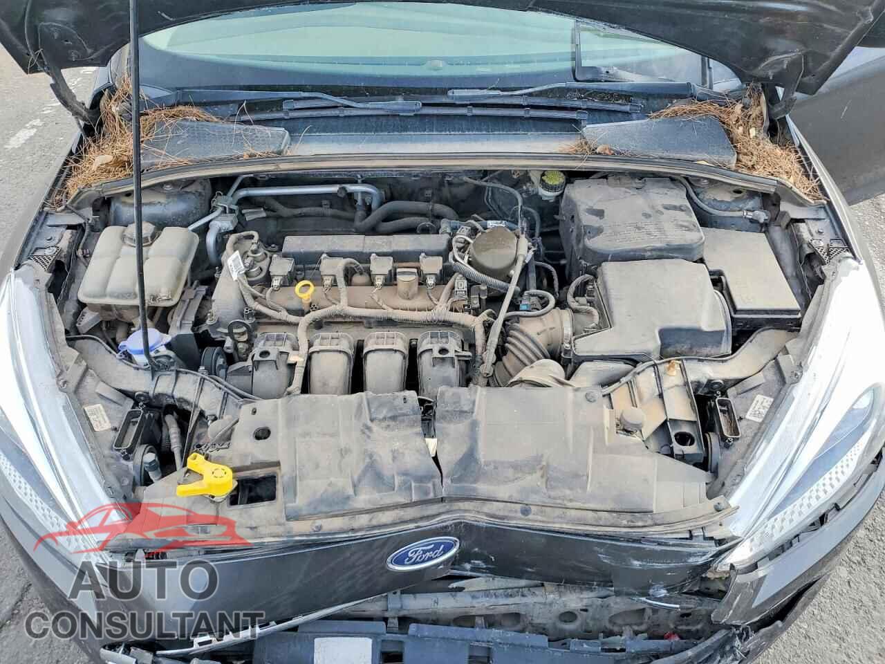 FORD FOCUS 2016 - 1FADP3E28GL234166