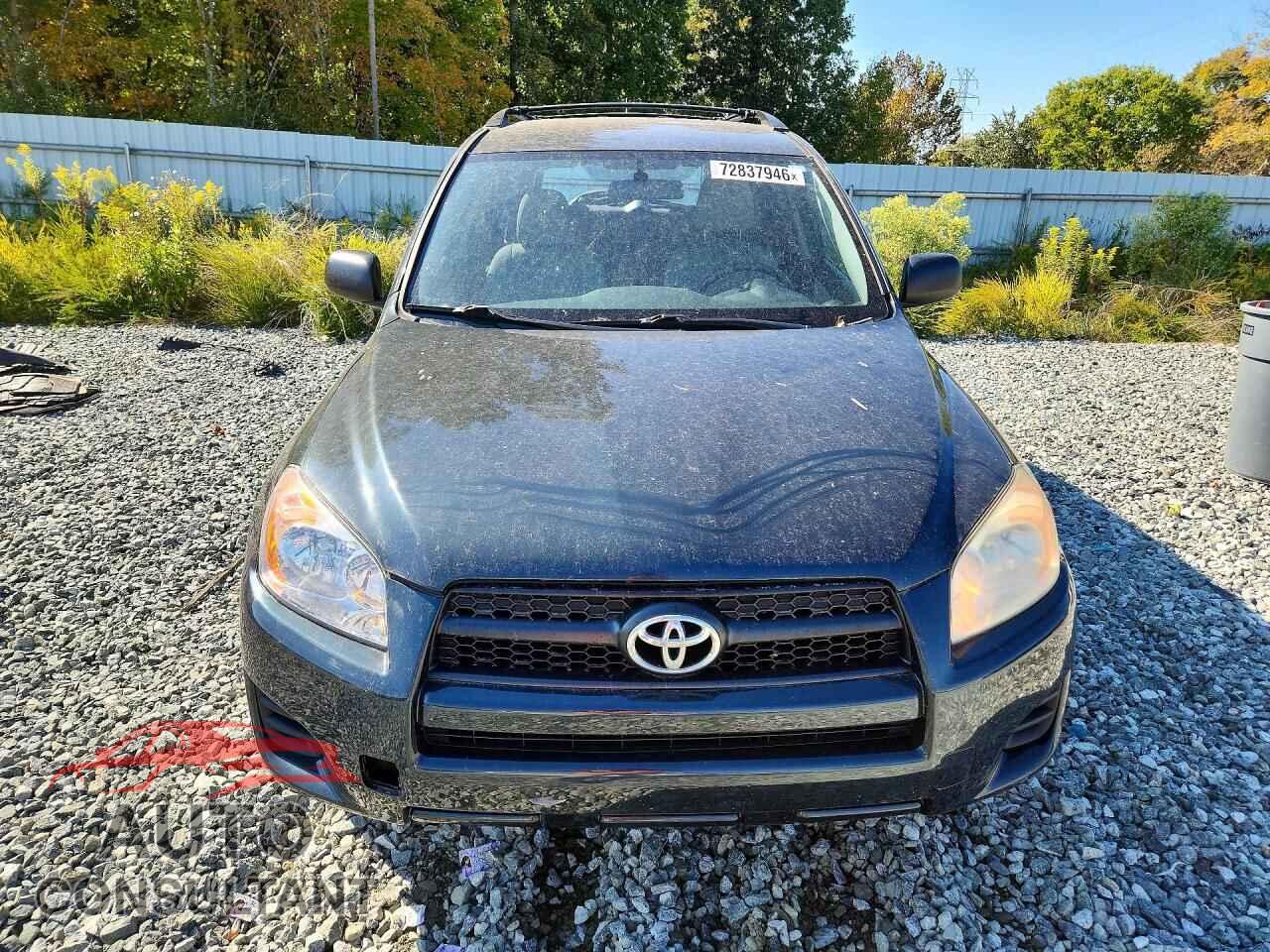 TOYOTA RAV4 2011 - 2T3BF4DV2BW091369