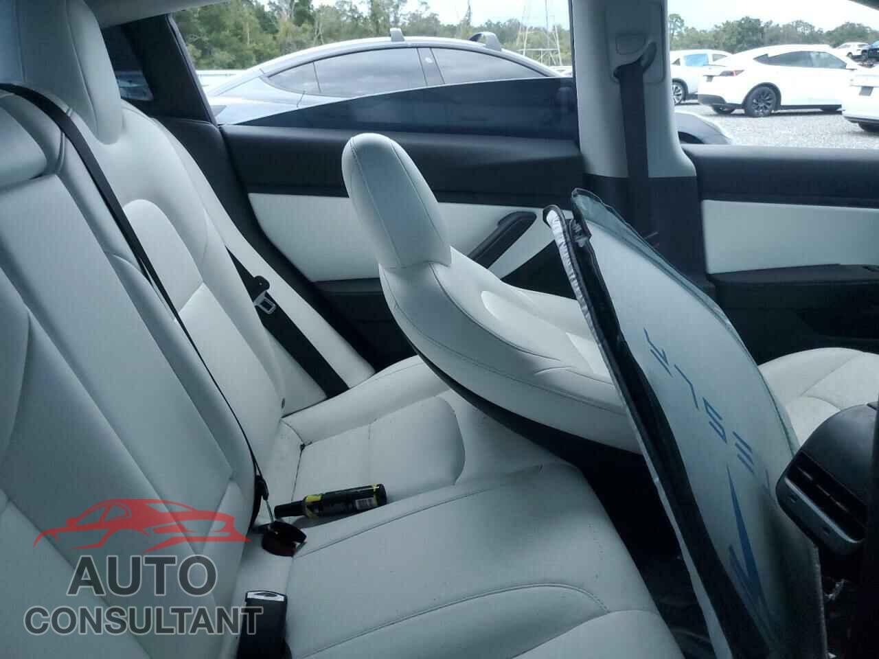 TESLA MODEL 3 2019 - 5YJ3E1EA2KF445219