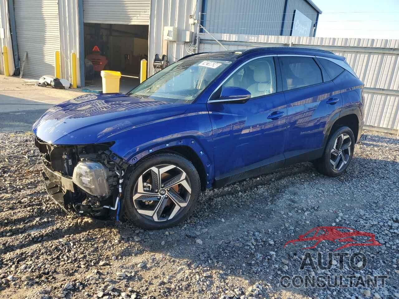 HYUNDAI TUCSON 2024 - 5NMJECDE5RH331523