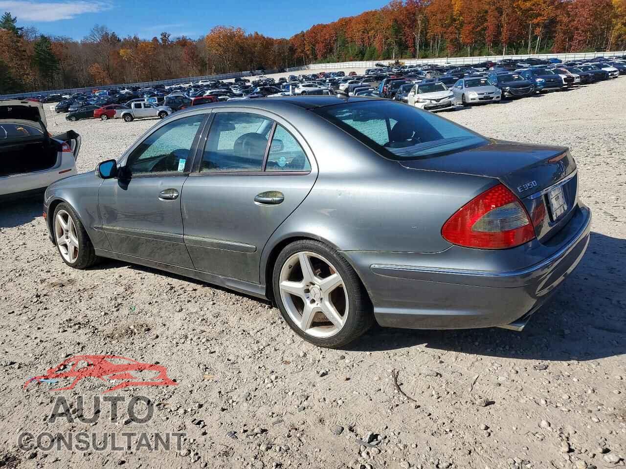 MERCEDES-BENZ E-CLASS 2009 - WDBUF87X69B392824