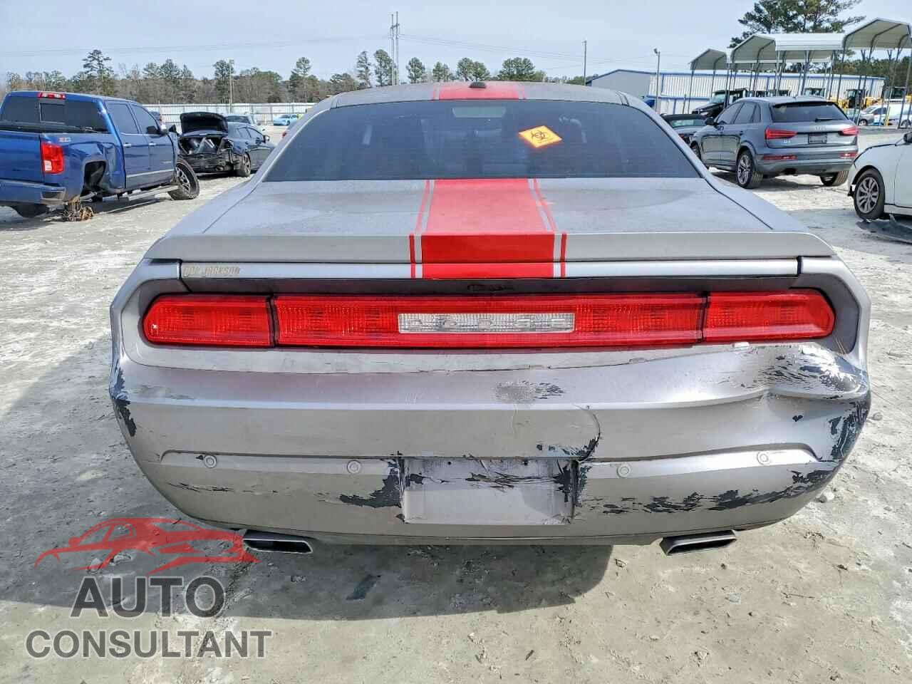 DODGE CHALLENGER 2013 - 2C3CDYAG4DH724601