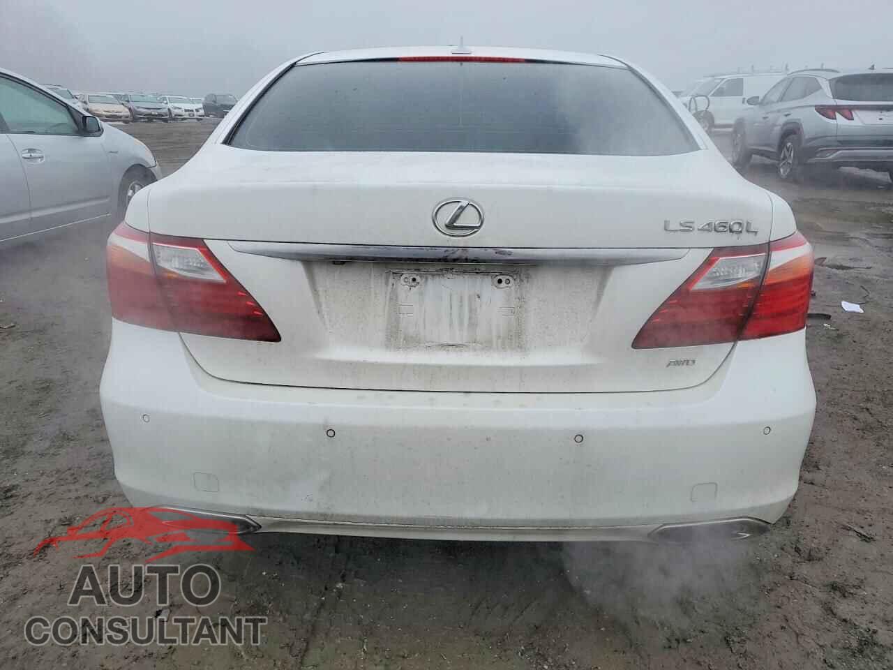 LEXUS LS 460 2011 - JTHDL5EF2B5003442