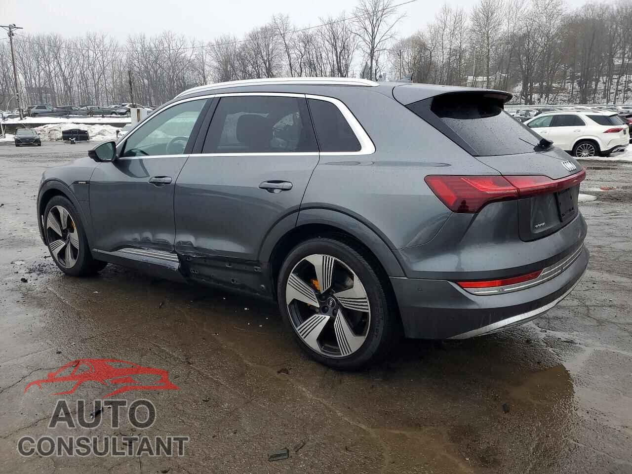 AUDI E-TRON 2019 - WA1VAAGE4KB006847